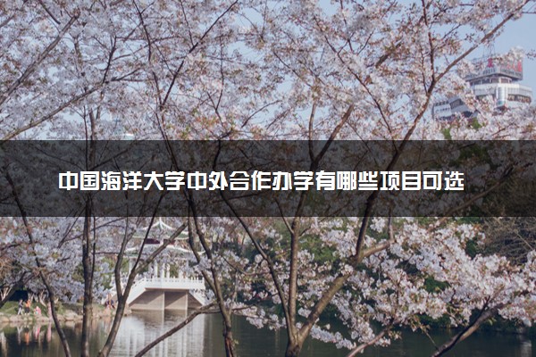 中国海洋大学中外合作办学有哪些项目可选 具体专业