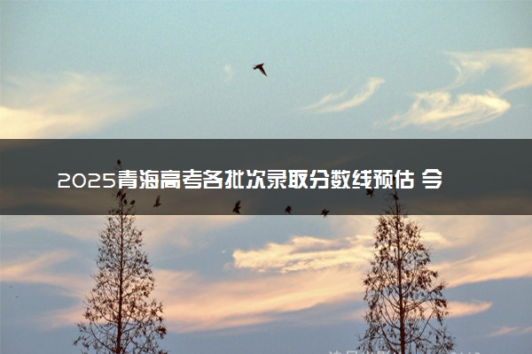 2025青海高考各批次录取分数线预估 今年分数线会降吗