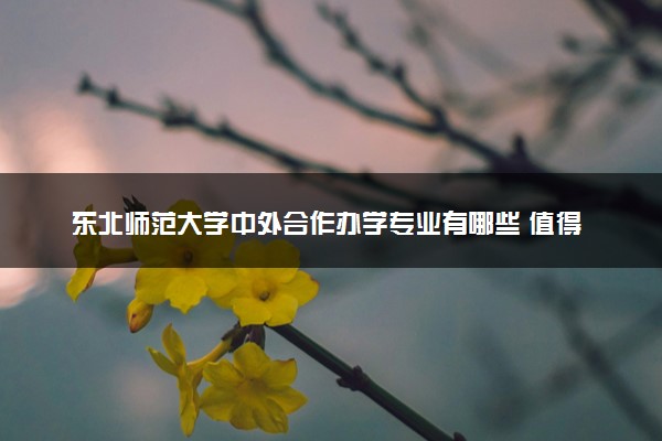 东北师范大学中外合作办学专业有哪些 值得上吗
