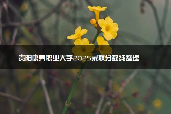 贵阳康养职业大学2025录取分数线整理 最低多少分可以考上