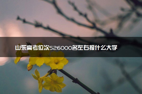 山东高考位次526000名左右报什么大学好（2025年参考）