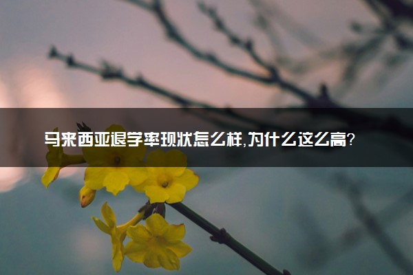 马来西亚退学率现状怎么样，为什么这么高？