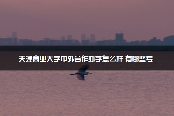 天津商业大学中外合作办学怎么样 有哪些专业