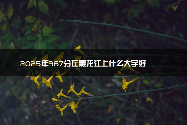 2025年387分在黑龙江上什么大学好 近三年录取分数线是多少