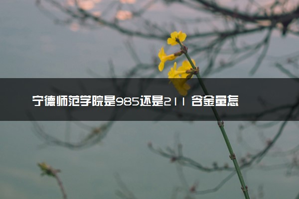 宁德师范学院是985还是211 含金量怎么样