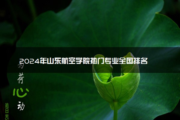 2024年山东航空学院热门专业全国排名 有哪些专业比较好
