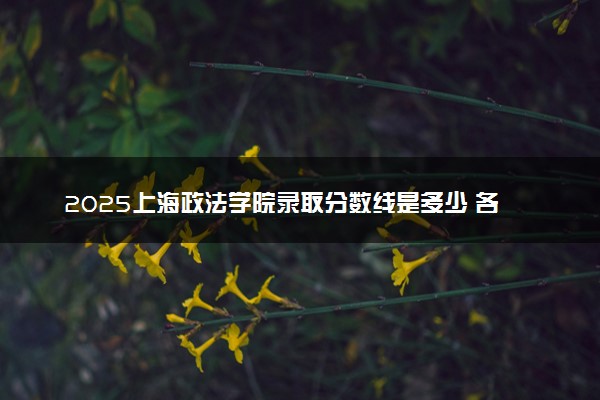 2025上海政法学院录取分数线是多少 各省最低分数线汇总