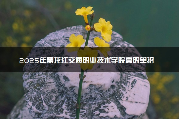 2025年黑龙江交通职业技术学院高职单招招生计划及专业