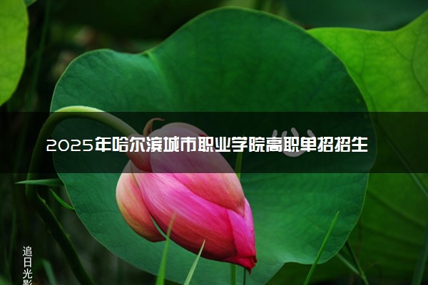 2025年哈尔滨城市职业学院高职单招招生专业