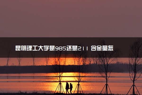 昆明理工大学是985还是211 含金量怎么样