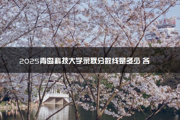 2025青岛科技大学录取分数线是多少 各省最低分数线汇总