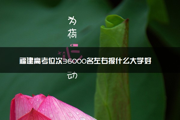 福建高考位次36000名左右报什么大学好（2025年参考）