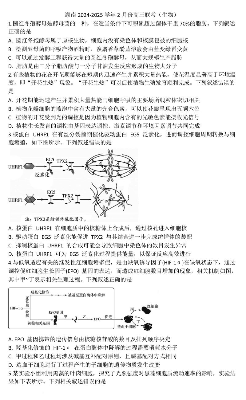 湖南2025届高三天一大联考2月联考生物试题及答案