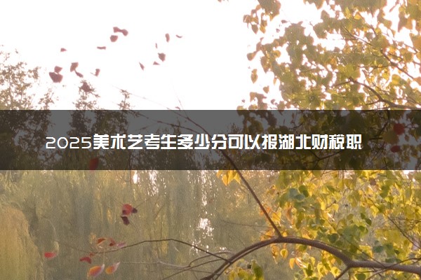 2025美术艺考生多少分可以报湖北财税职业学院