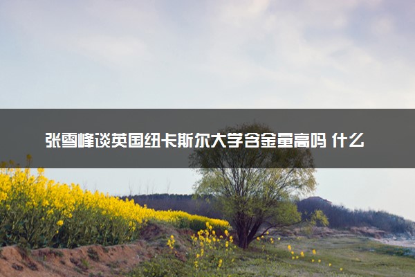 张雪峰谈英国纽卡斯尔大学含金量高吗 什么专业好