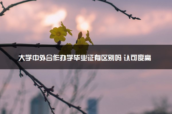 大学中外合作办学毕业证有区别吗 认可度高吗