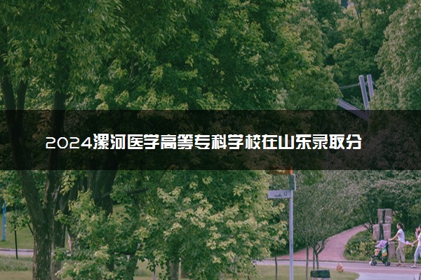 2024漯河医学高等专科学校在山东录取分数线 各专业分数及位次