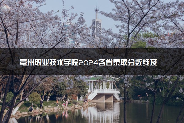 亳州职业技术学院2024各省录取分数线及最低位次是多少