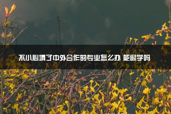 不小心填了中外合作的专业怎么办 能退学吗