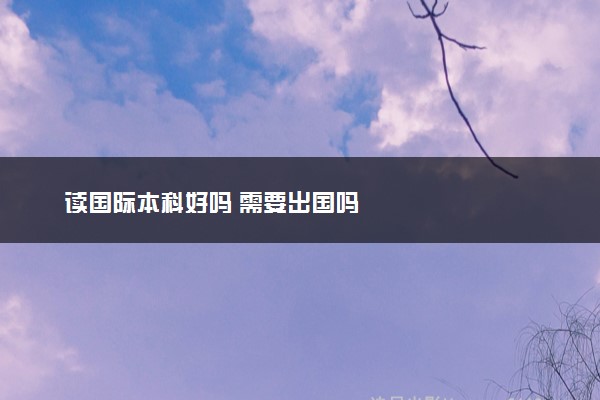 读国际本科好吗 需要出国吗