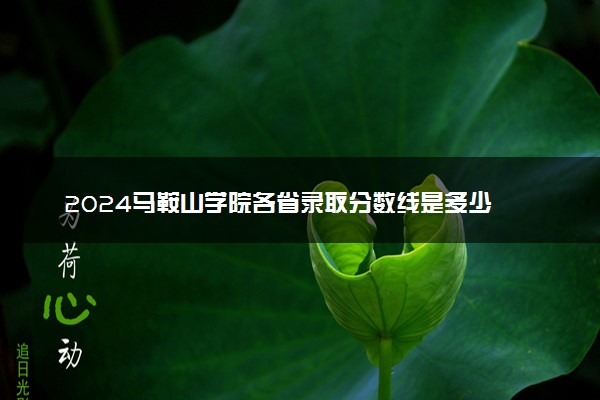 2024马鞍山学院各省录取分数线是多少 最低分及位次