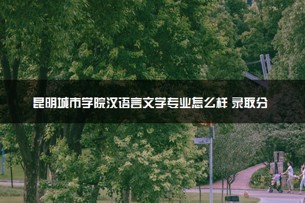 昆明城市学院汉语言文学专业怎么样 录取分数线多少