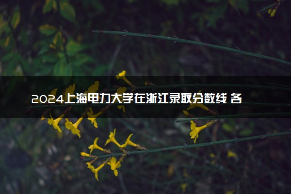 2024上海电力大学在浙江录取分数线 各专业分数及位次