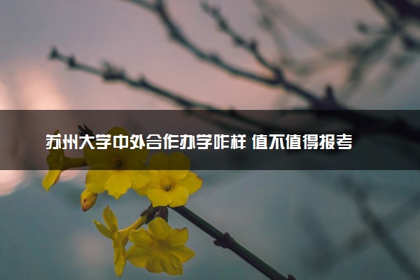 苏州大学中外合作办学咋样 值不值得报考