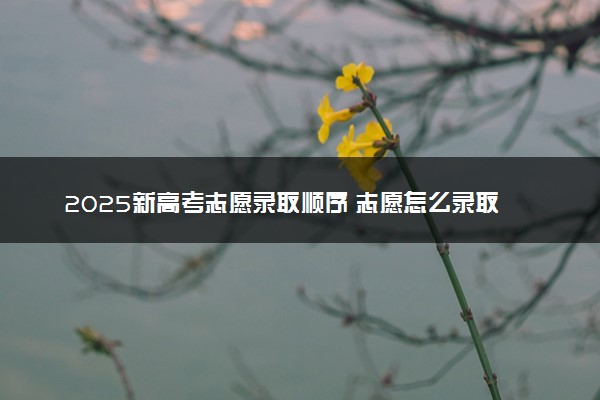 2025新高考志愿录取顺序 志愿怎么录取的