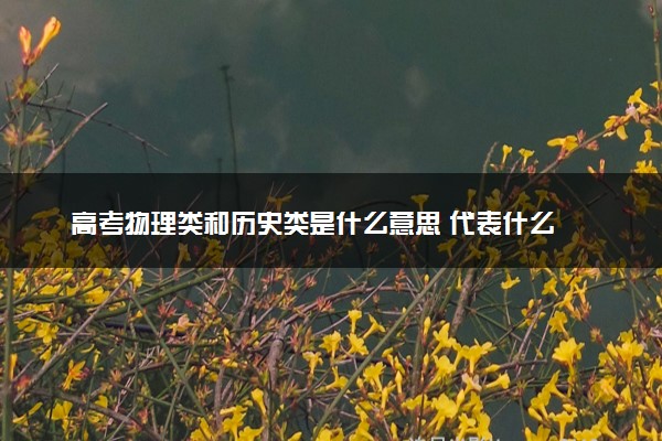 高考物理类和历史类是什么意思 代表什么