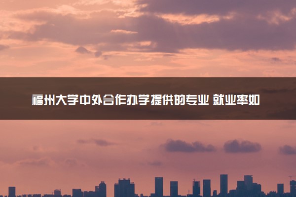 福州大学中外合作办学提供的专业 就业率如何