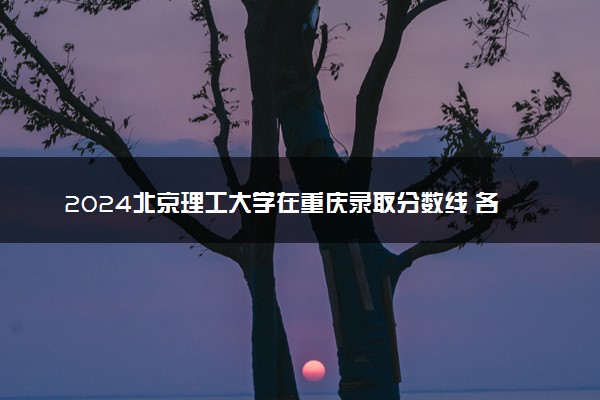 2024北京理工大学在重庆录取分数线 各专业分数及位次
