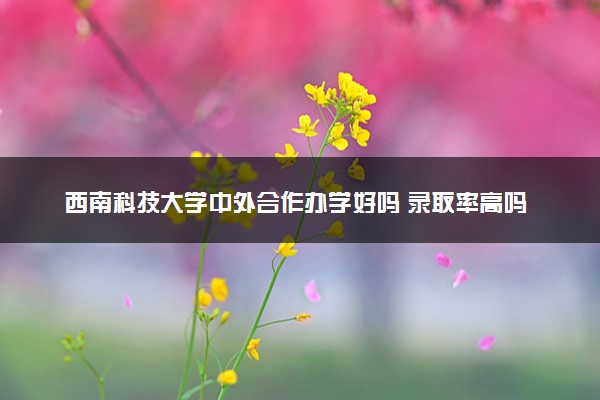 西南科技大学中外合作办学好吗 录取率高吗