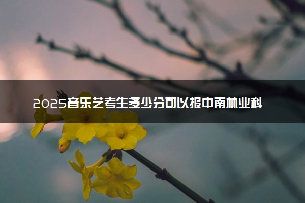 2025音乐艺考生多少分可以报中南林业科技大学涉外学院