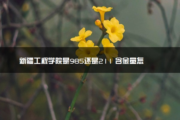 新疆工程学院是985还是211 含金量怎么样