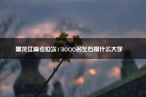 黑龙江高考位次13000名左右报什么大学好（2025年参考）