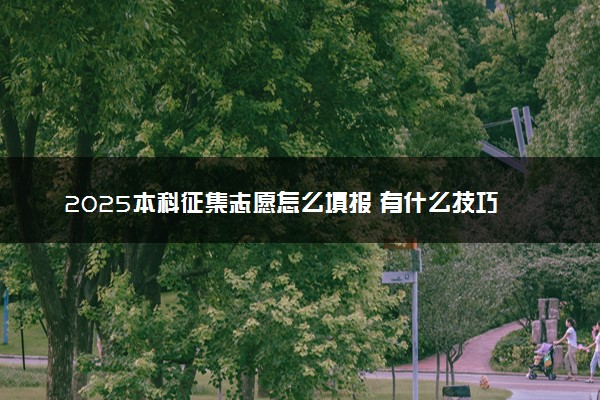 2025本科征集志愿怎么填报 有什么技巧