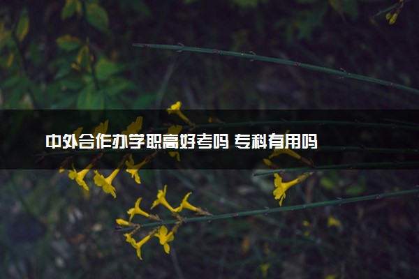 中外合作办学职高好考吗 专科有用吗