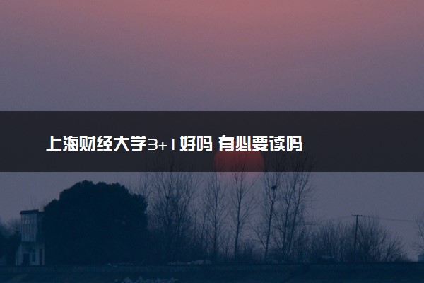 上海财经大学3+1好吗 有必要读吗