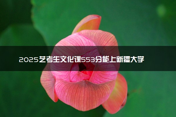 2025艺考生文化课553分能上新疆大学吗
