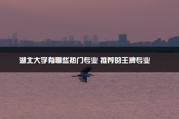 湖北大学有哪些热门专业 推荐的王牌专业