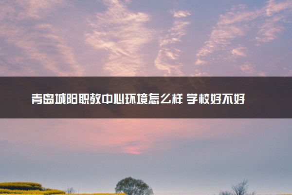 青岛城阳职教中心环境怎么样 学校好不好