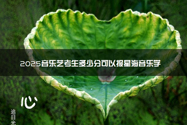 2025音乐艺考生多少分可以报星海音乐学院
