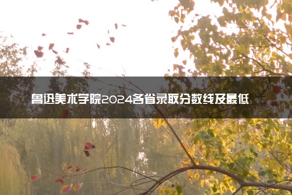 鲁迅美术学院2024各省录取分数线及最低位次是多少