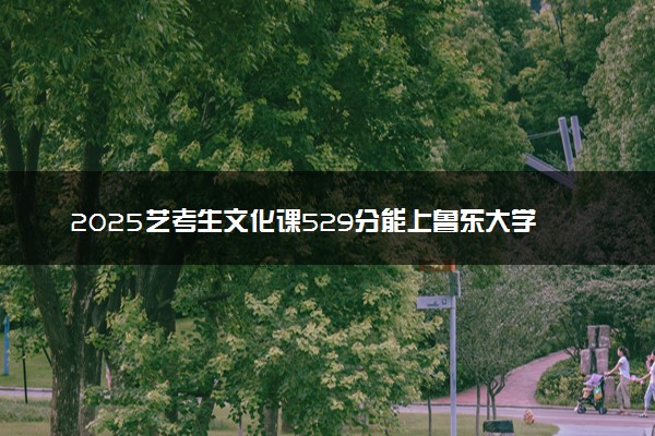 2025艺考生文化课529分能上鲁东大学吗