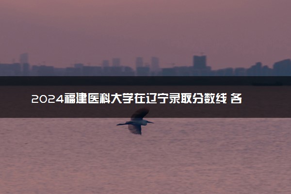 2024福建医科大学在辽宁录取分数线 各专业分数及位次