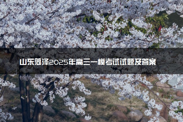 山东菏泽2025年高三一模考试试题及答案汇总