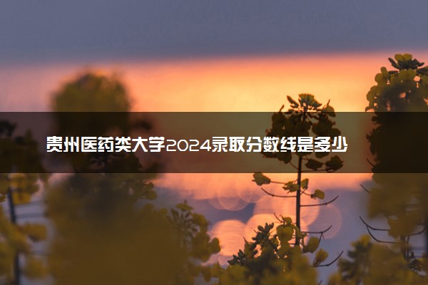 贵州医药类大学2024录取分数线是多少 什么学校好