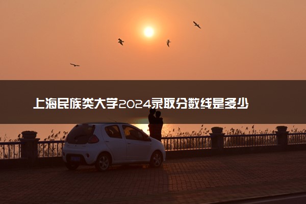 上海民族类大学2024录取分数线是多少 什么学校好