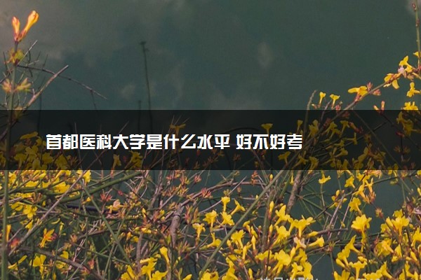 首都医科大学是什么水平 好不好考